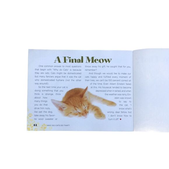 🔃Why Do Cats Do That? - Picture 4 of 5